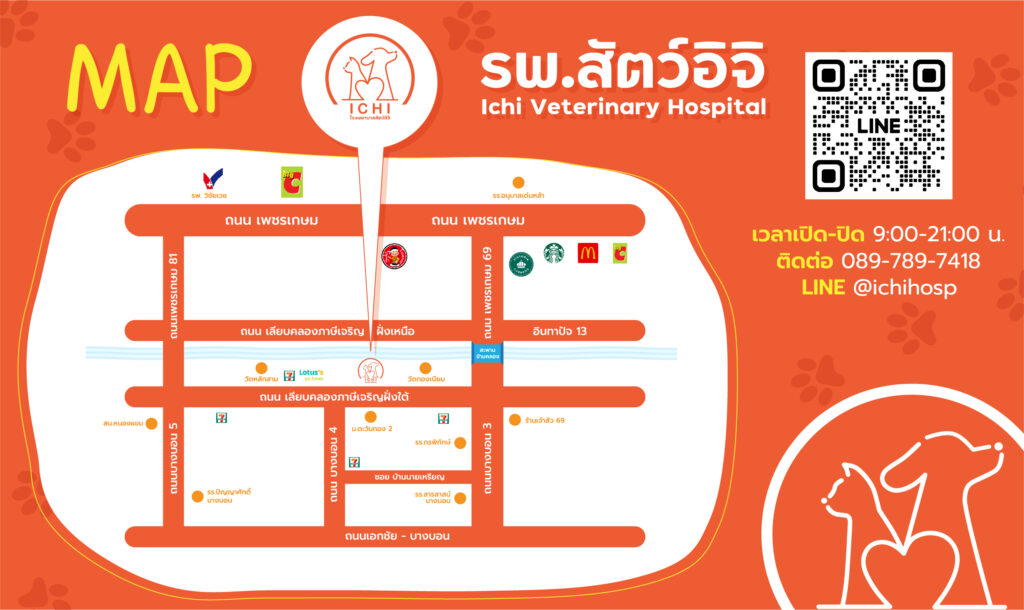 Map ichi