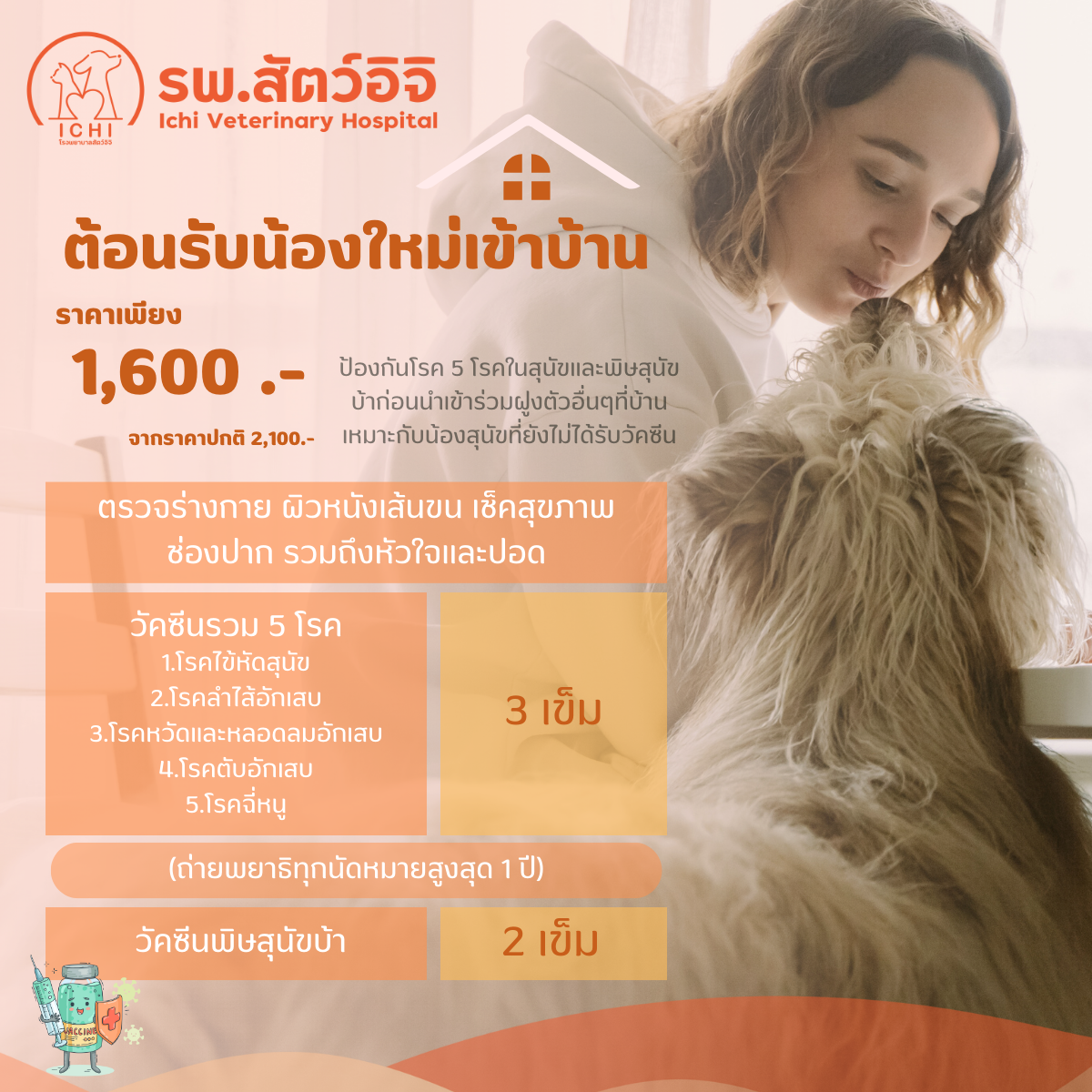 ตรวจสุขภาพและฉีดวัคซีนสุนัข