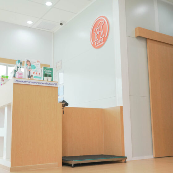 โรงพยาบาลสัตว์อิจิ