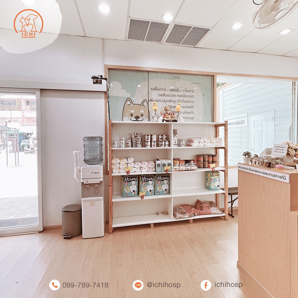 โรงพยาบาลสัตว์ใกล้ฉัน หนองแขม บางบอน บางแค