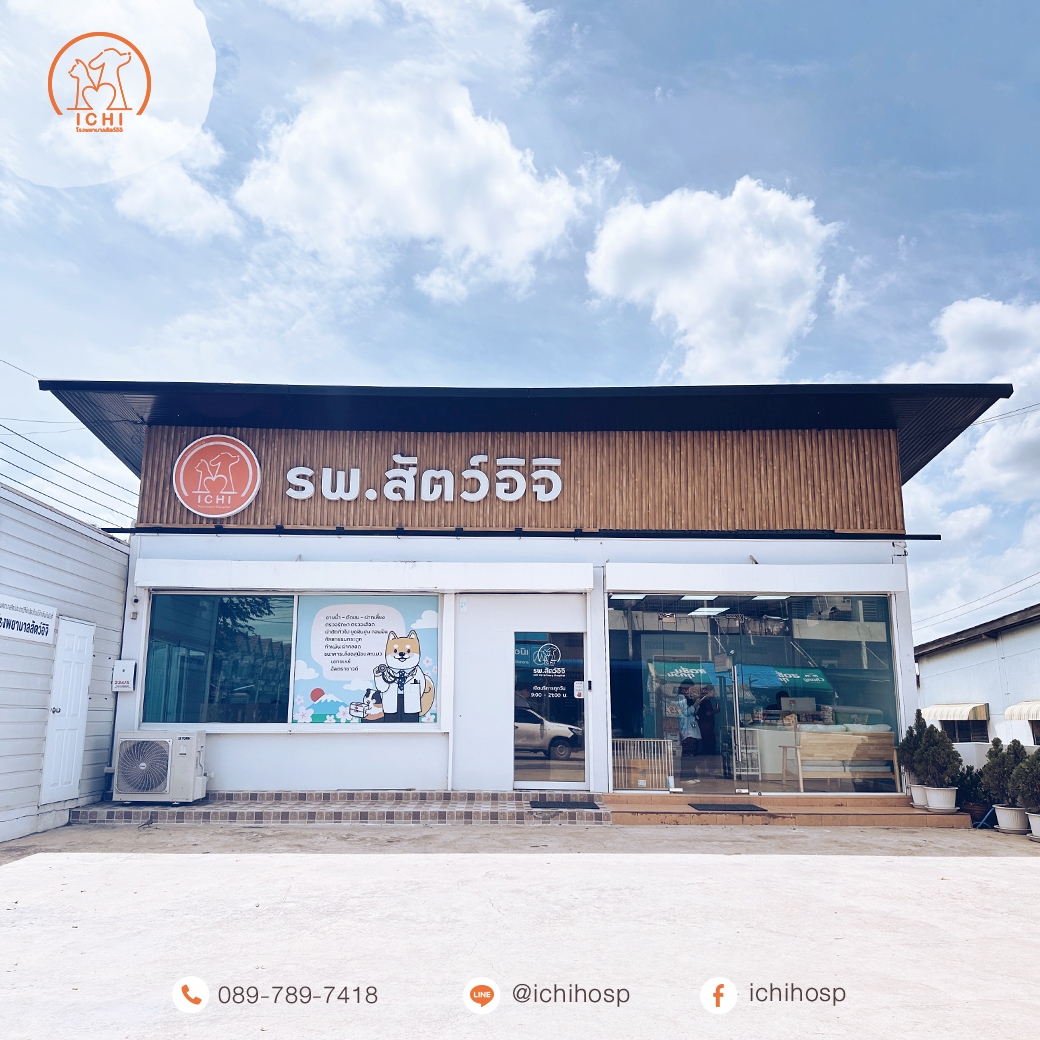 ที่อิจิ...เราออกแบบให้โรงพยาบาลรู้สึกเหมือนบ้าน