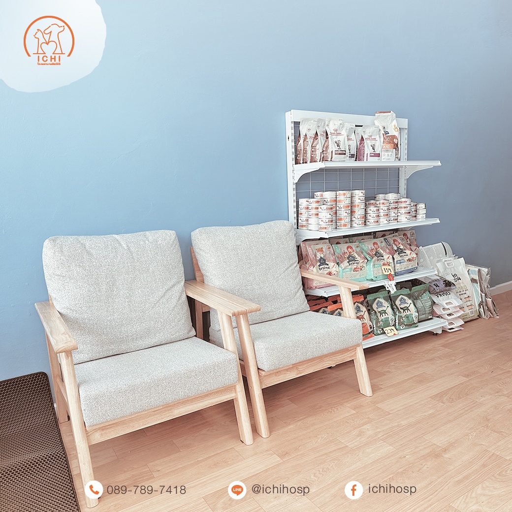 โรงพยาบาลสัตว์ใกล้ฉัน หนองแขม บางบอน บางแค